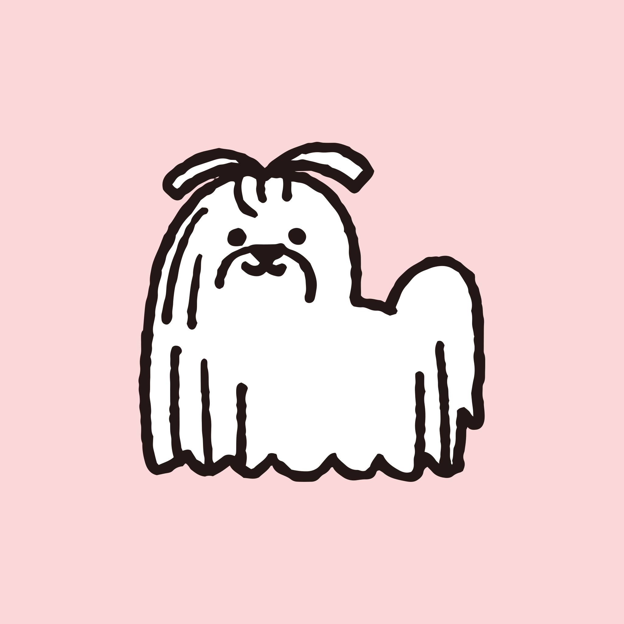 슌스케 사타케