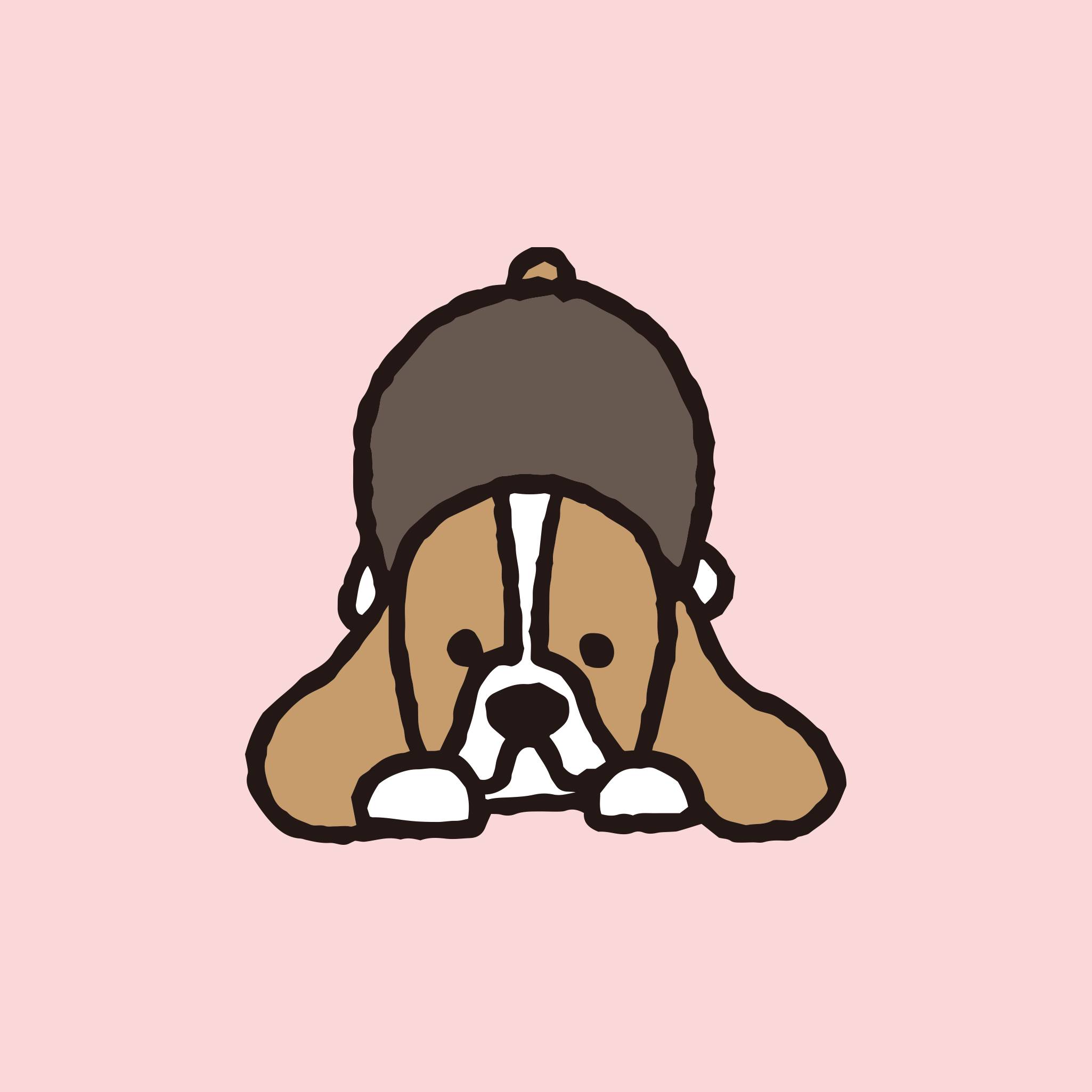 슌스케 사타케