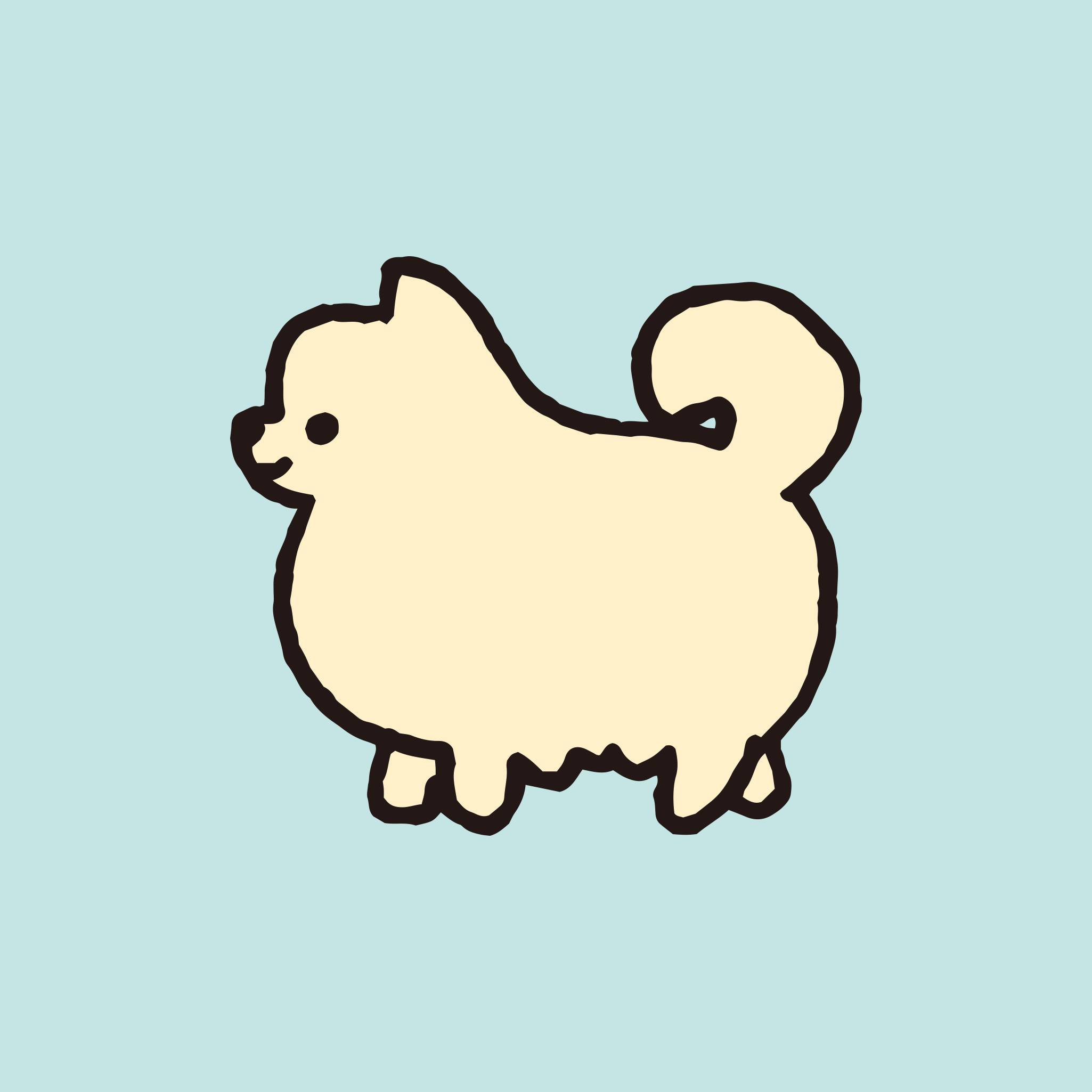 슌스케 사타케